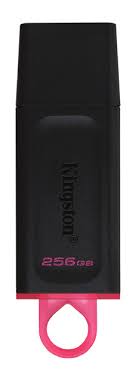 Memorie USB Kingston DataTraveler Exodia DTX/256GB, 256GB, USB 3.2, Black/Pink